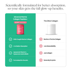 Graphic illustrating absorption and bioavailability