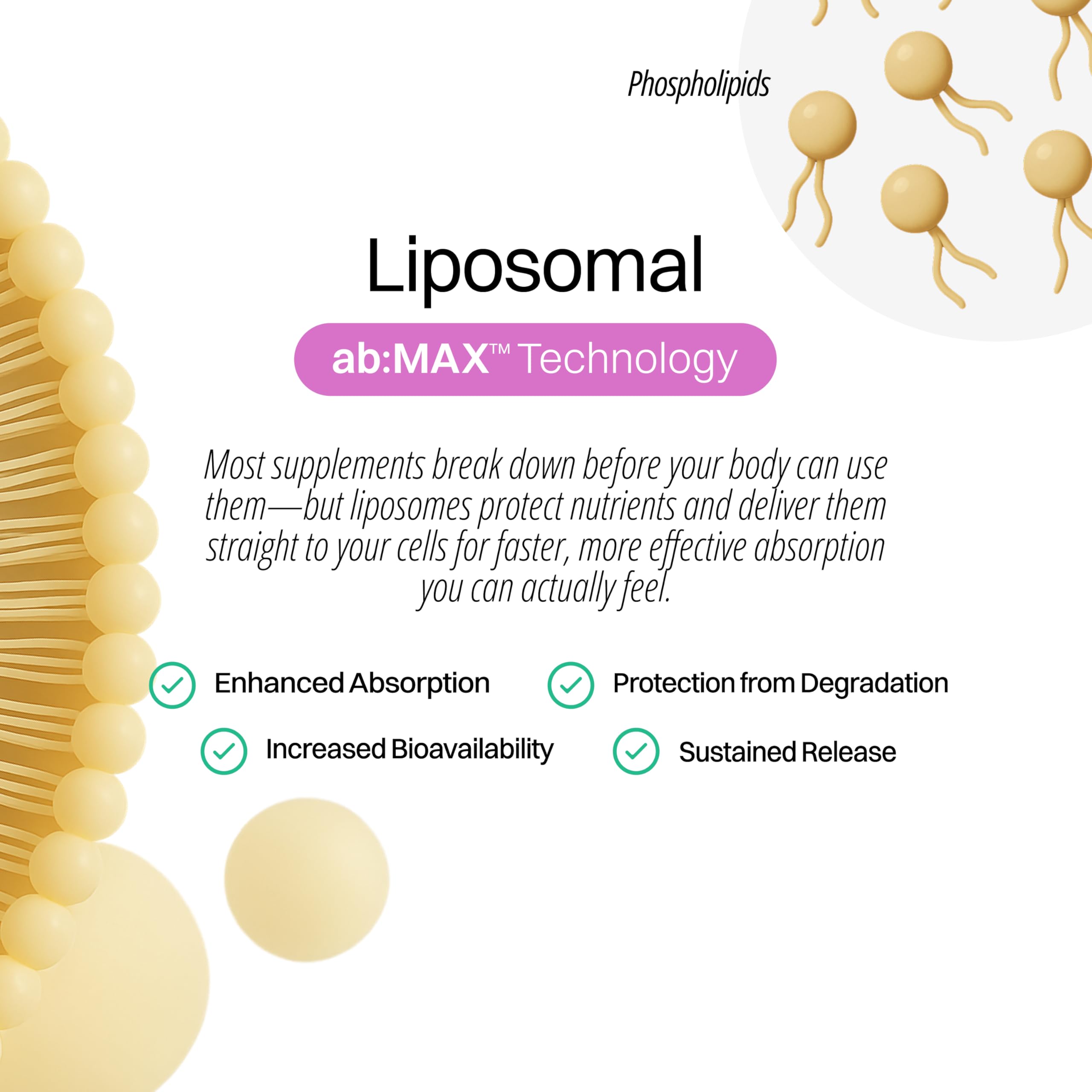 cGMP facility and CryoTEM liposome verification documentation