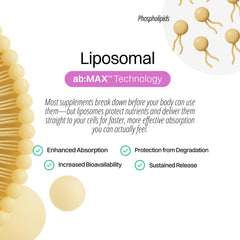 cGMP facility and CryoTEM liposome verification documentation