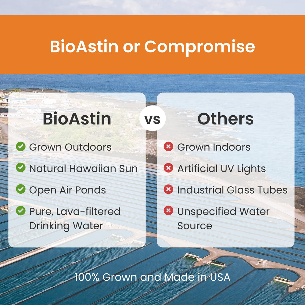 Hawaiian astaxanthin cultivation in sun-drenched ponds