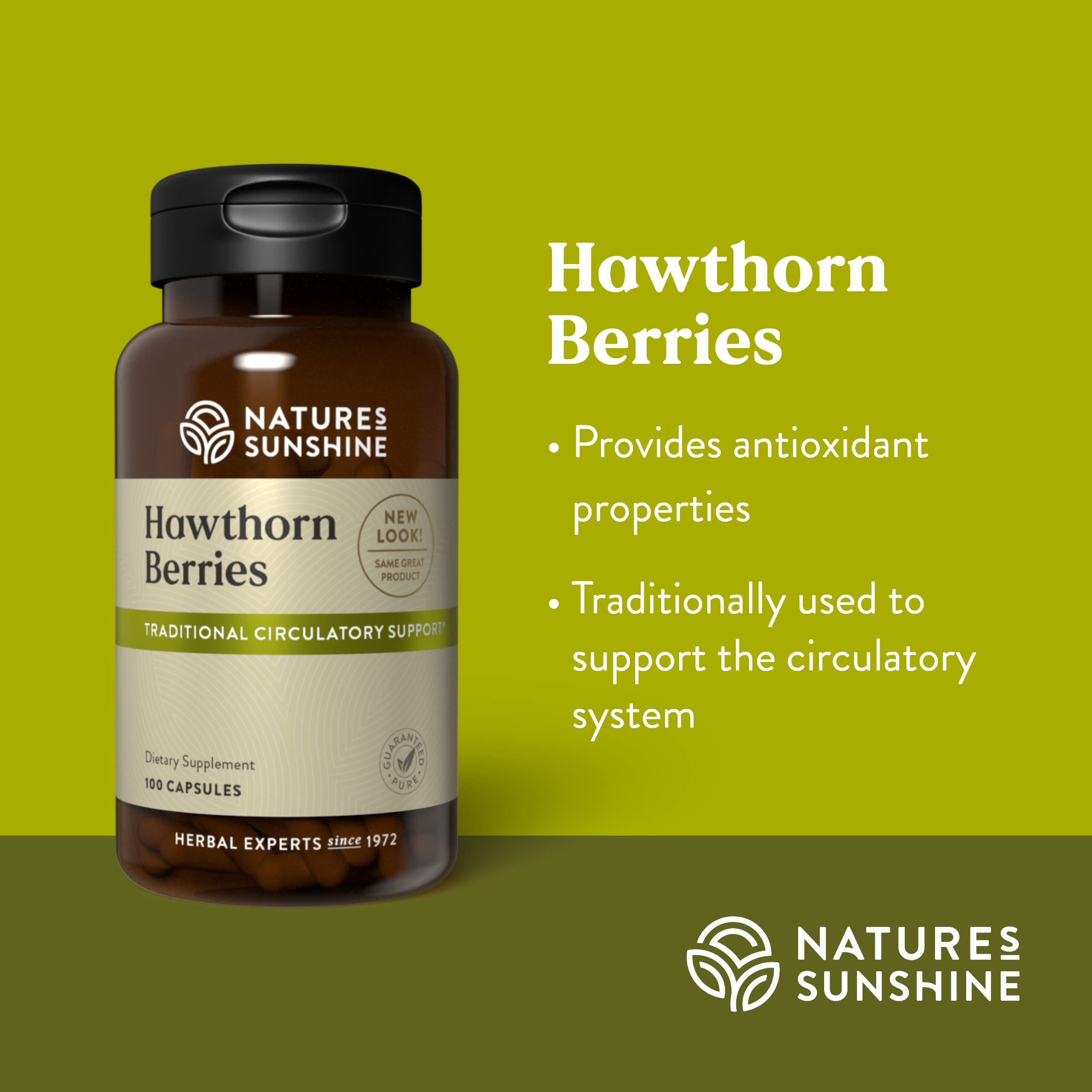 Hawthorn berries used to support the circulatory system.