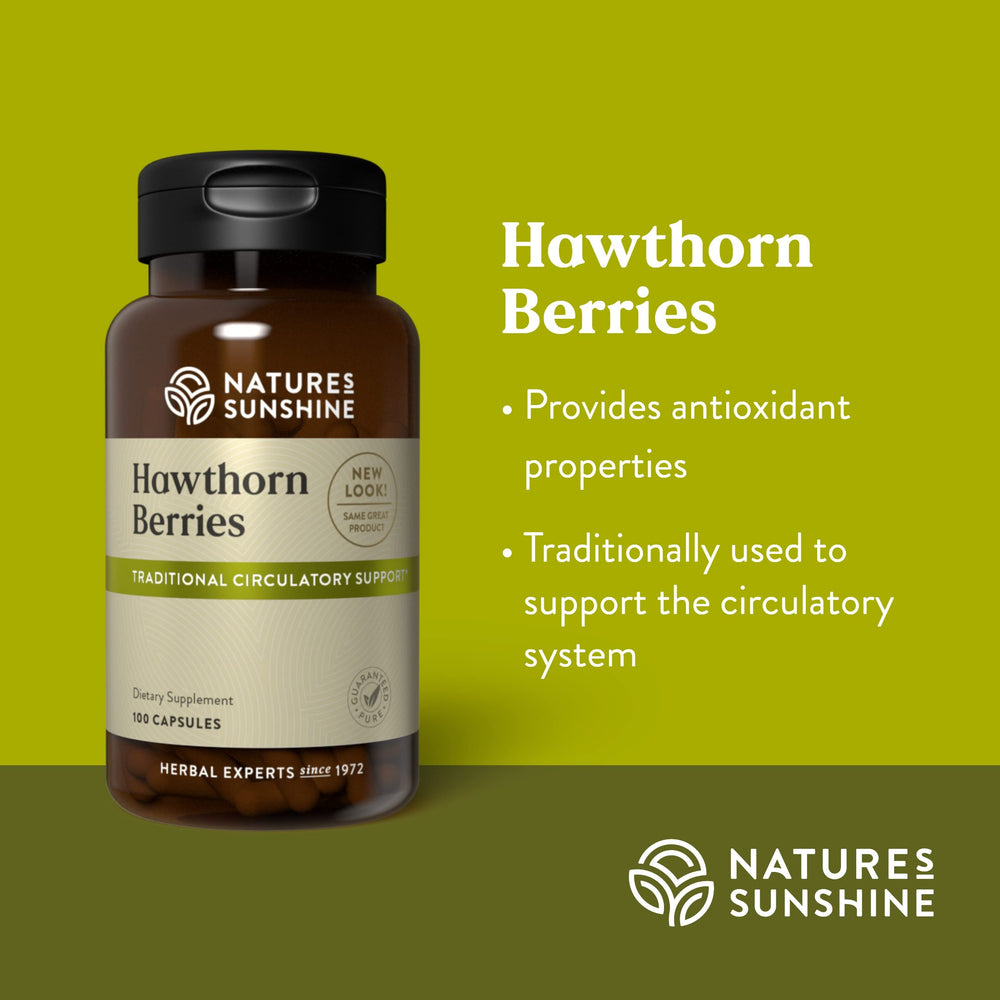 Hawthorn berries used to support the circulatory system.