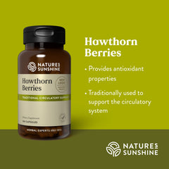 Hawthorn berries used to support the circulatory system.