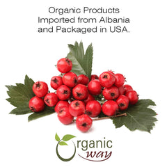 Deep red color and texture of dried hawthorn berries