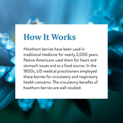 Graphic referencing Nature's Sunshine herb encapsulation heritage.