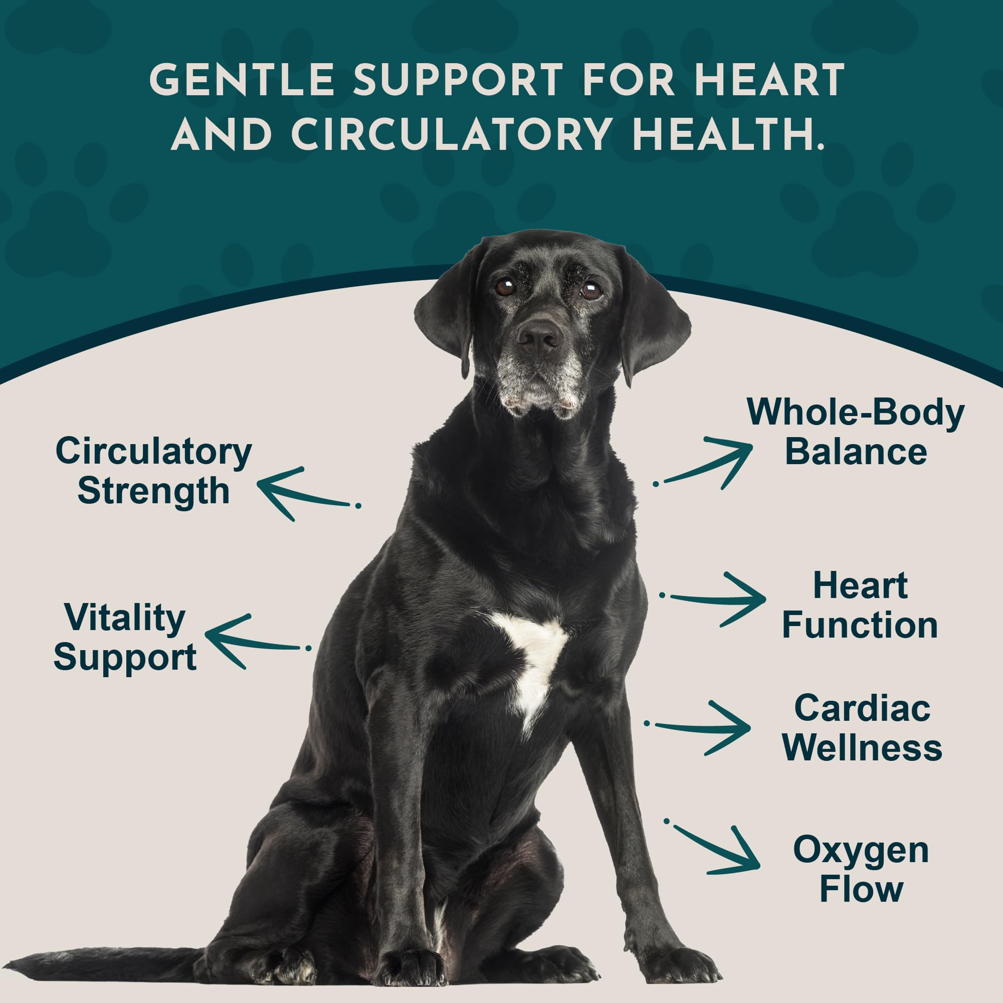 Organic label on hawthorn berries packaging for pets