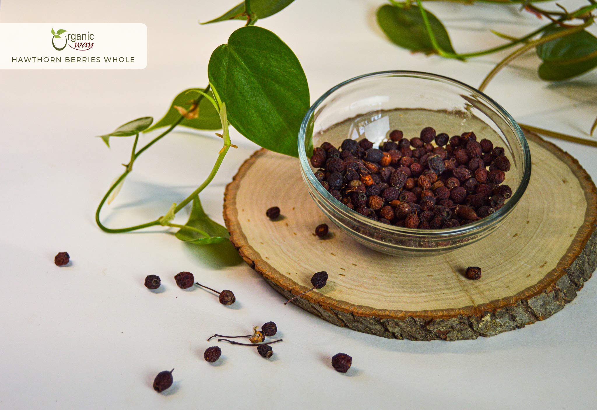 Hawthorn berries shown for tea blends with other herbs