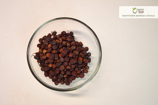 Close-up of dried hawthorn berries with rich red color