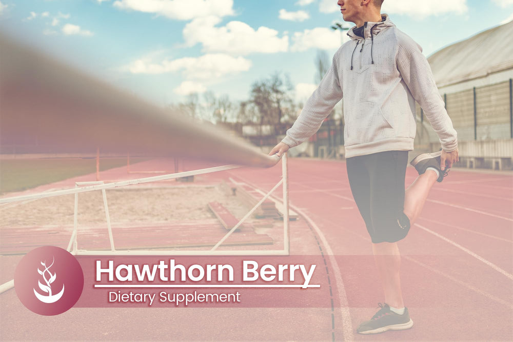 Lab-verified Hawthorn Berry capsule bottle