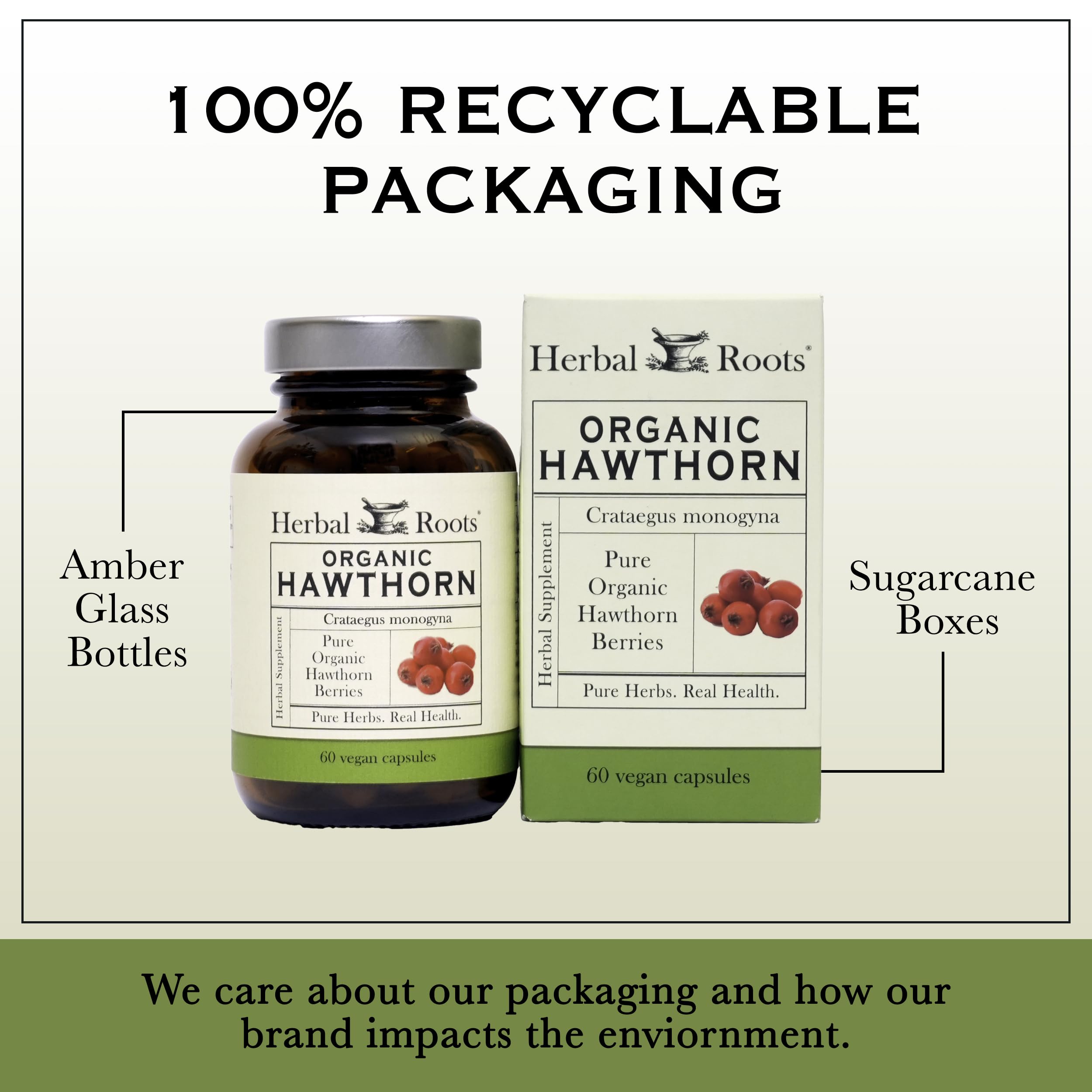 Hawthorn berry antioxidant capsules 1200mg