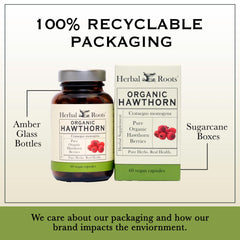 Hawthorn berry antioxidant capsules 1200mg
