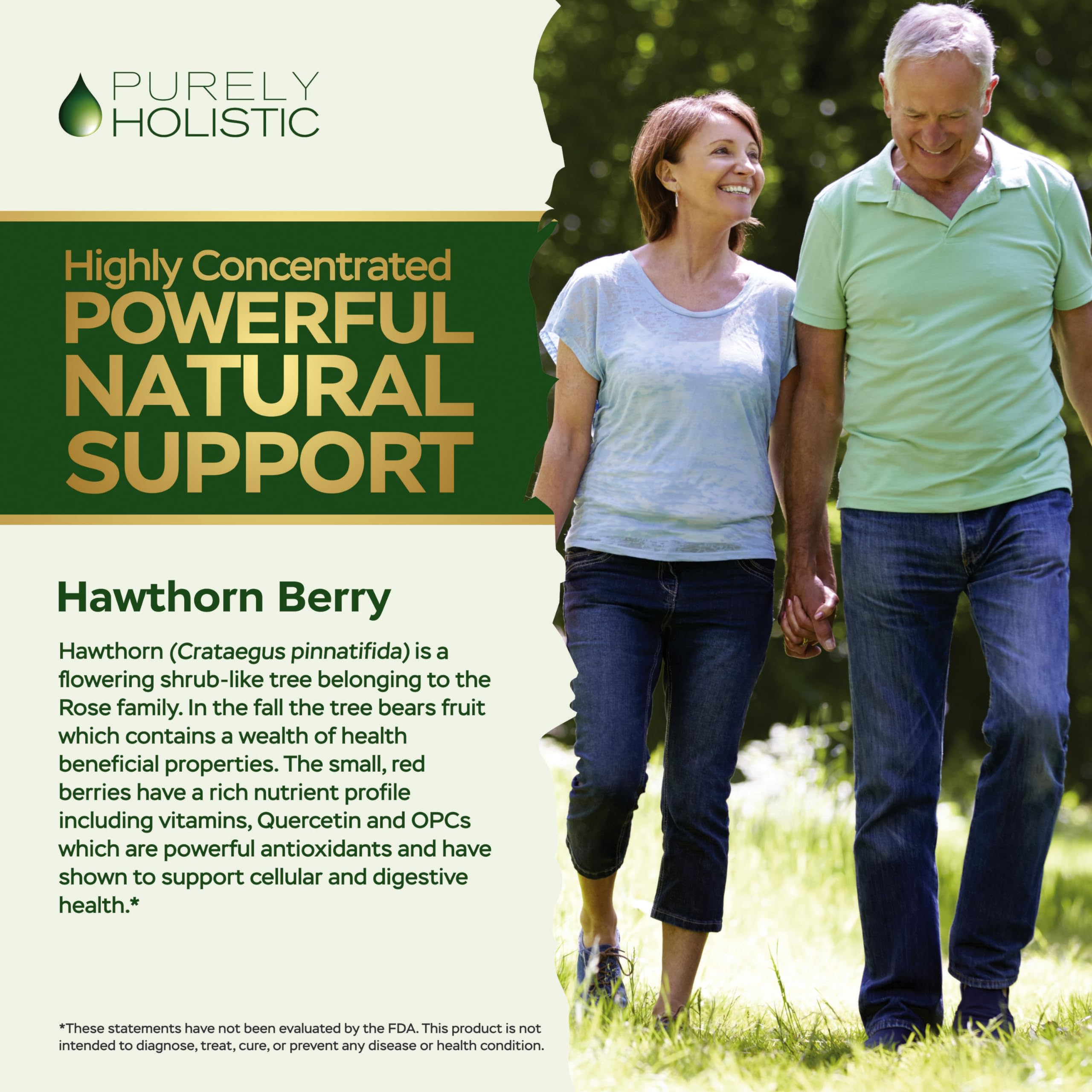 High-strength Hawthorn Berry extract 4:1 capsule