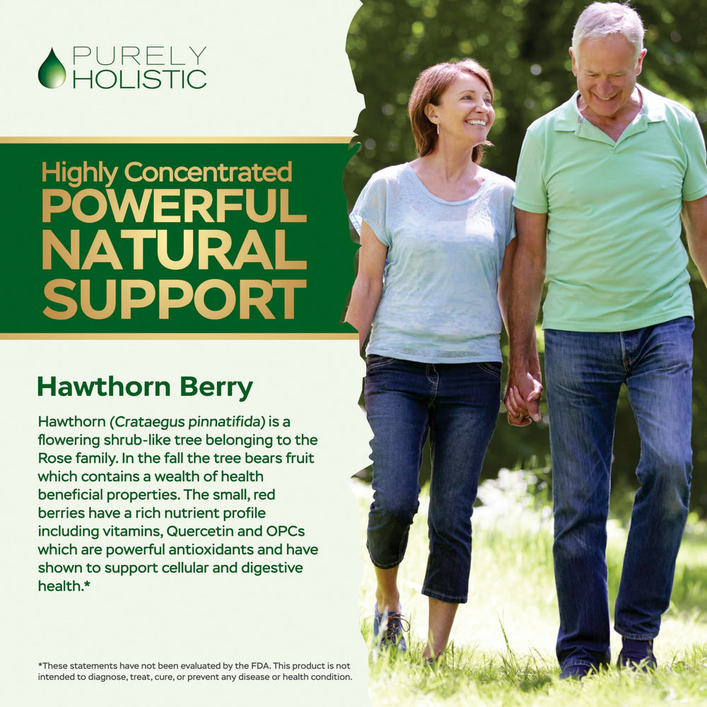 High-strength Hawthorn Berry extract 4:1 capsule