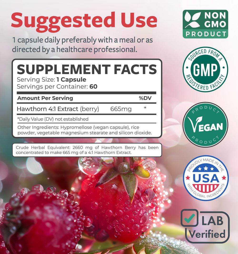 Antioxidant-rich hawthorn extract graphic