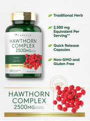 Hawthorn berry extract visual showing standardized potency
