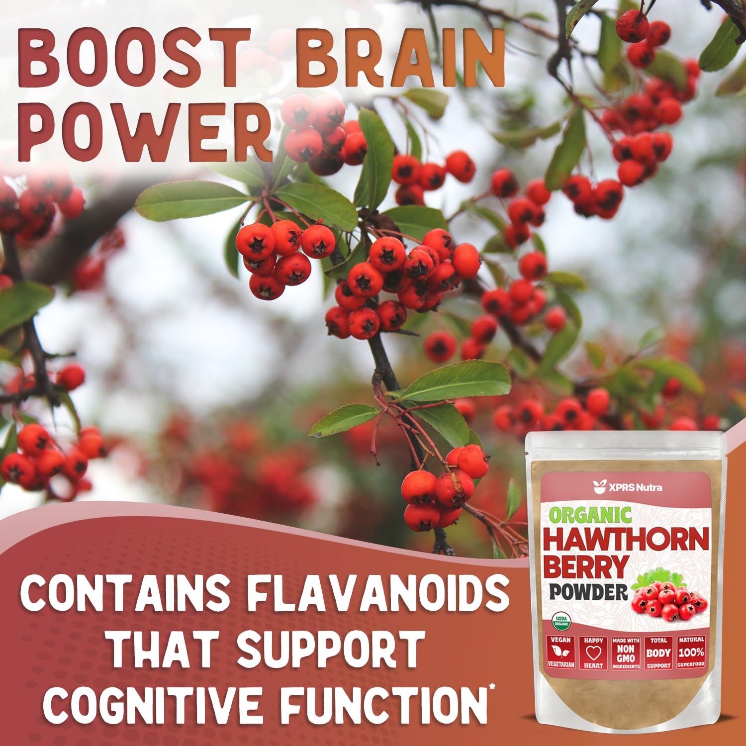 Hawthorn berry powder dissolving in liquid