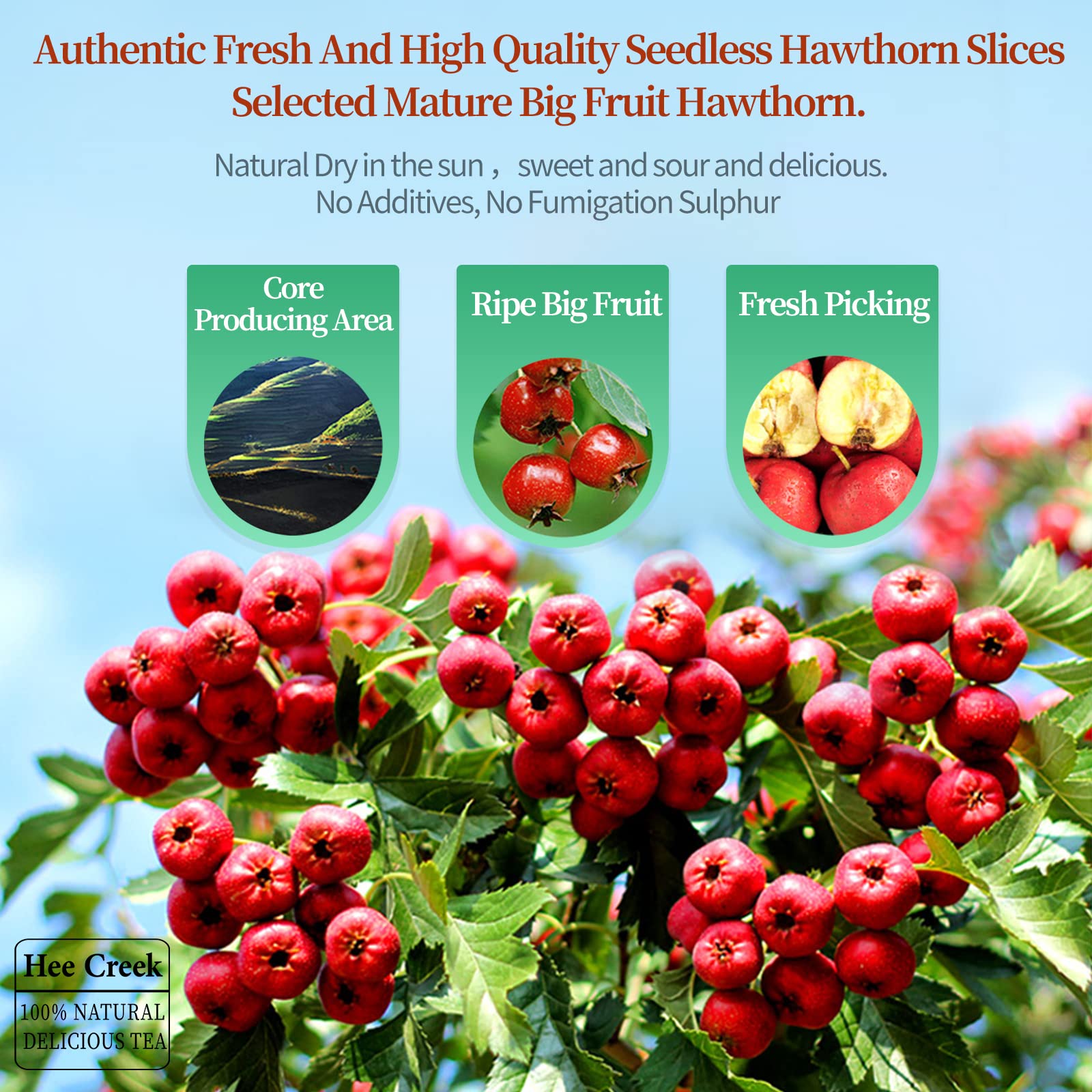 Close-up of seedless dried hawthorn berry slices