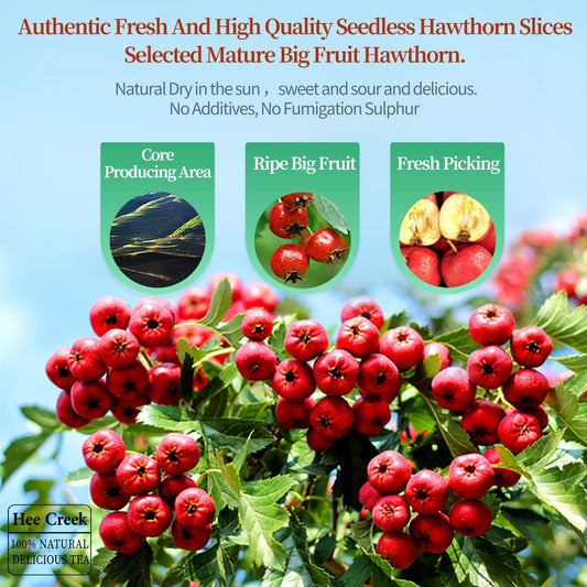 Close-up of seedless dried hawthorn berry slices