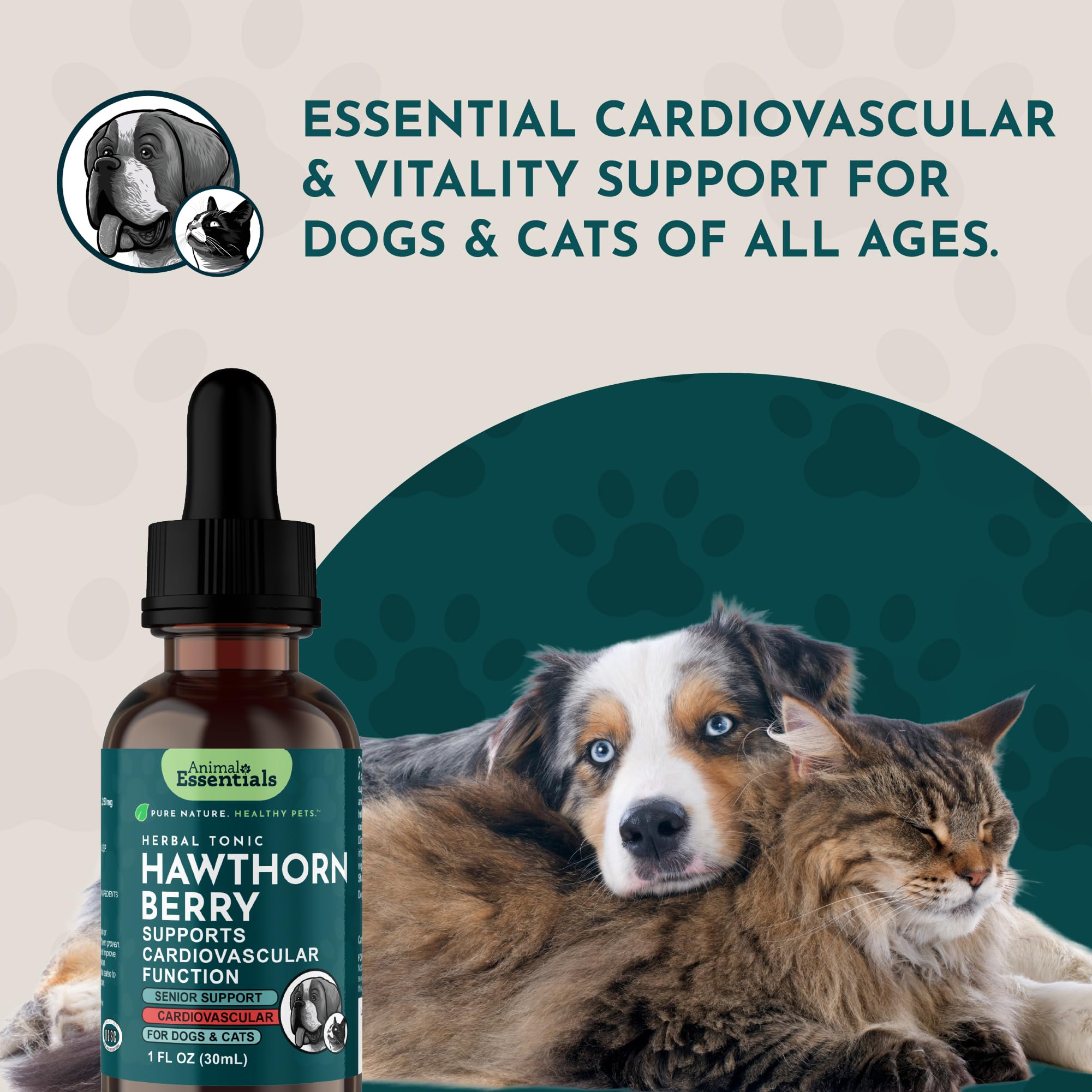 Daily-use hawthorn tincture bottle for dogs and cats
