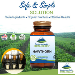 Hawthorn Berry Capsules bottle display
