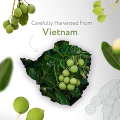 Tamanu oil applied to skin for moisturizing