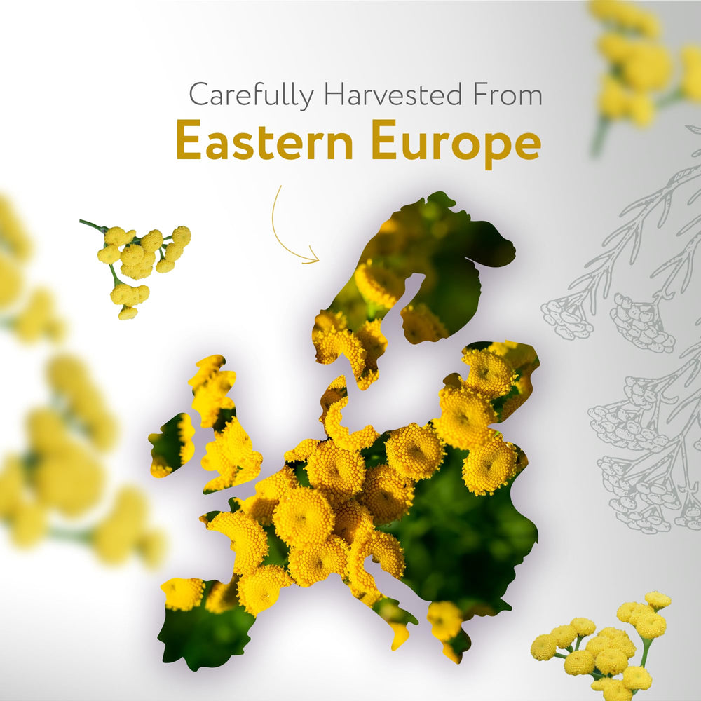 HBNO Helichrysum Oil packaging