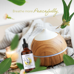 HBNO Lemon Eucalyptus essential oil used for cleaning and DIY projects