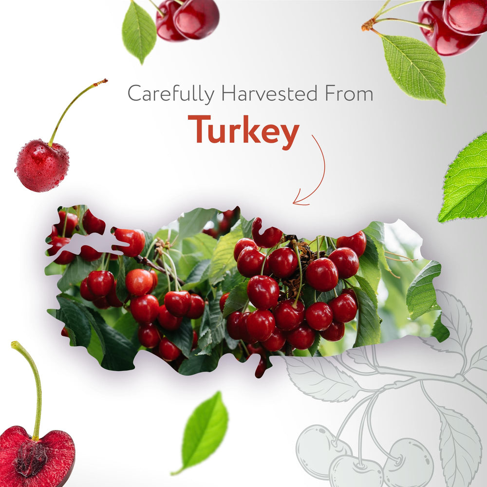 HBNO Organic Cherry Kernel Oil dropper-cap shows precise control for DIY blends.