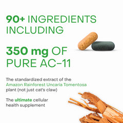 AM formula bottle and PM formula bottle illustration