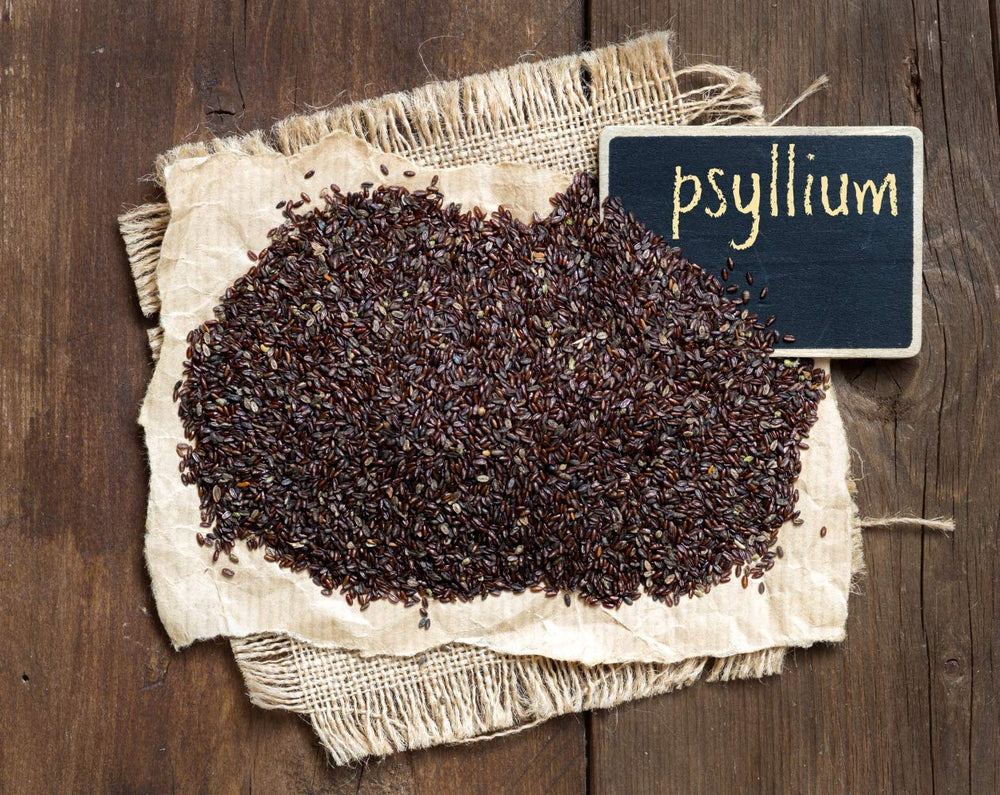 Sourcing and traditional harvesting of Plantago Psyllium seeds