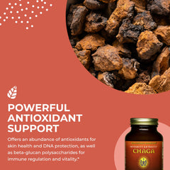 HealthForce Integrity Extracts Chaga packaging
