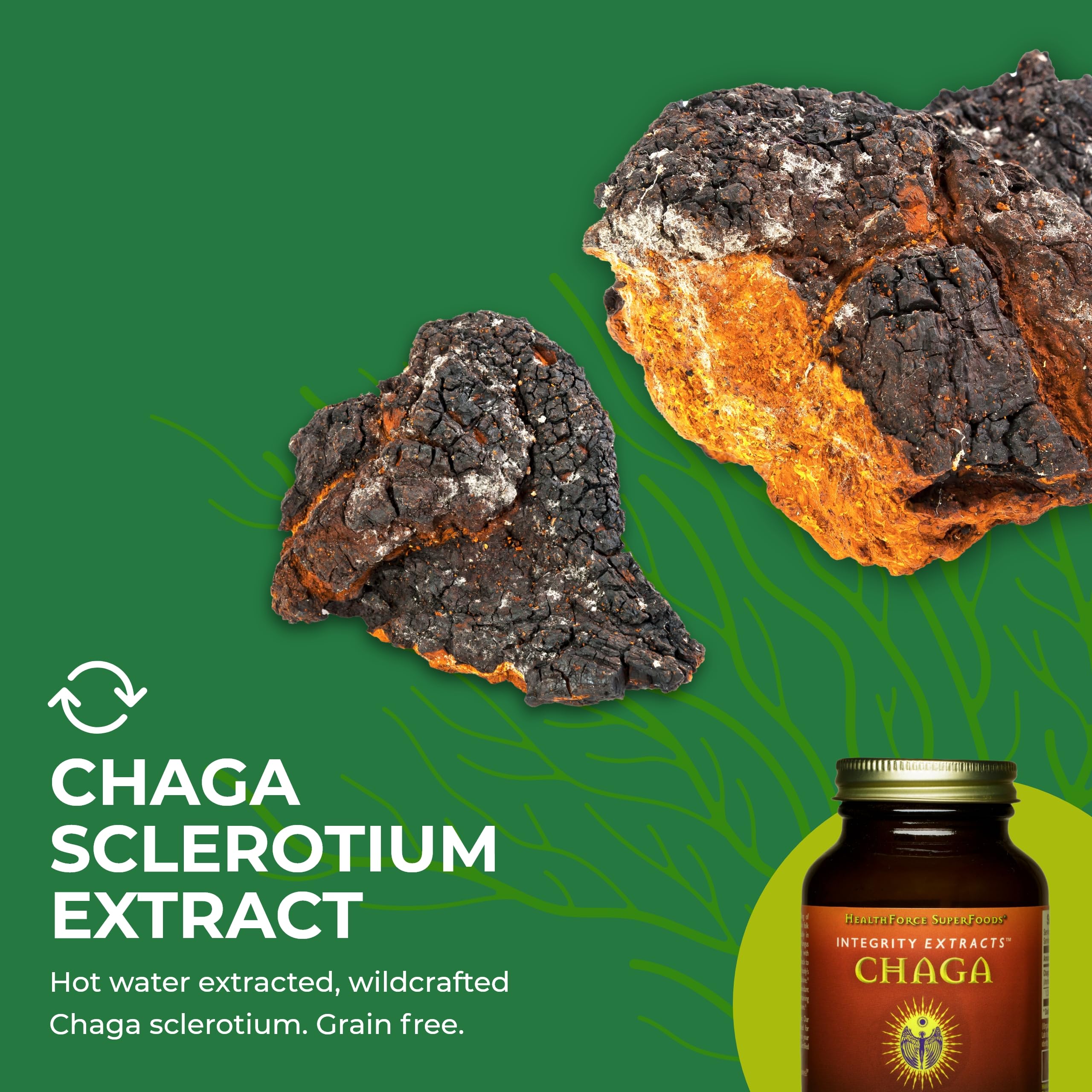 Beta-glucans and immune support graphic