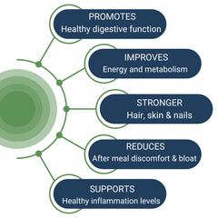 Healthy Gut HCL Guard pepsin-tablet shows potent protein breakdown enzyme