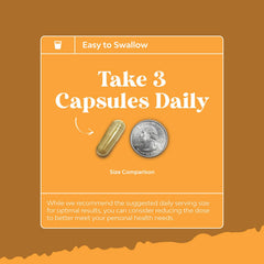 Healthy lifestyle scene with sea moss capsules