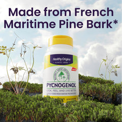 Healthy Origins Pycnogenol pine bark extract close-up highlights antioxidants.