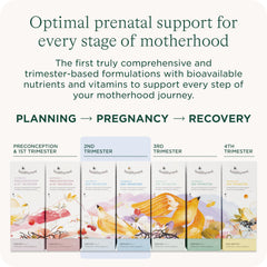 AM and PM daily dosing packs for HealthyNest prenatal vitamin