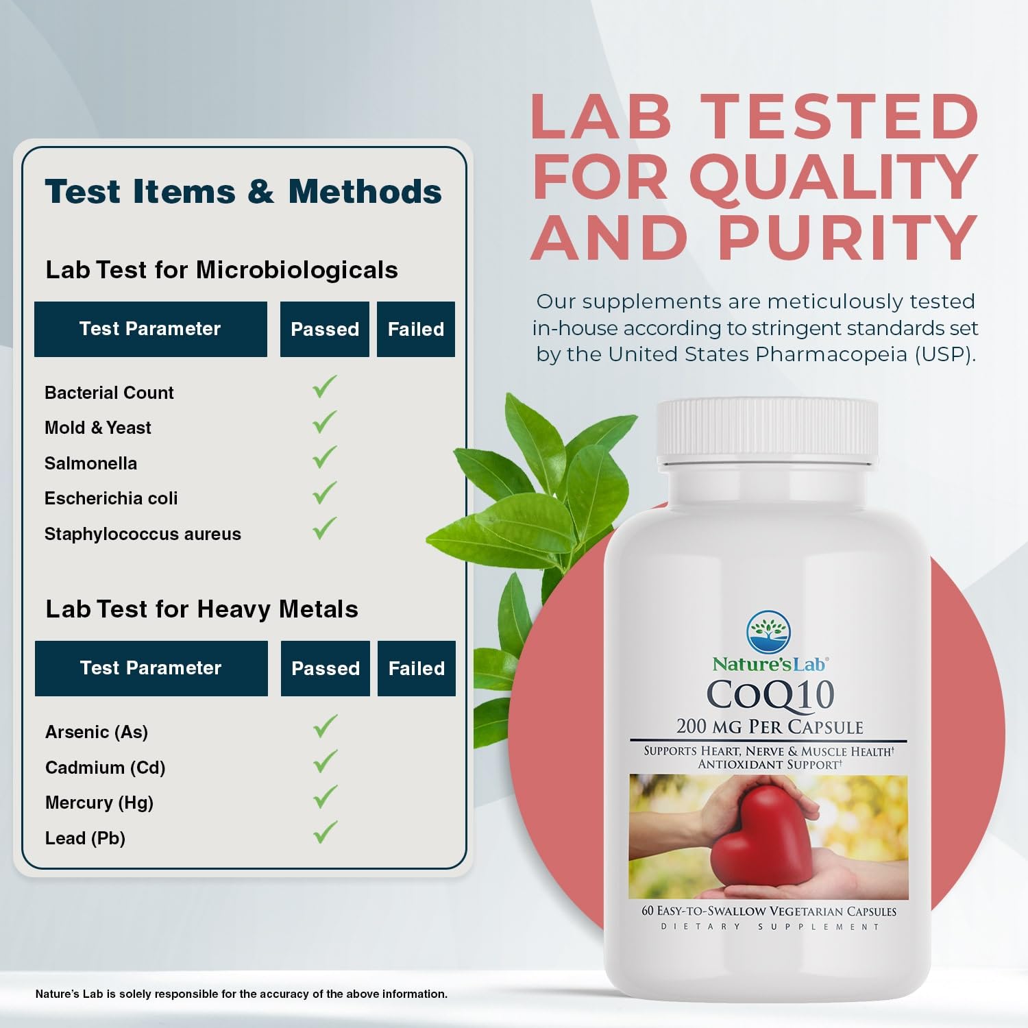 Graphic representing heart health benefits of CoQ10