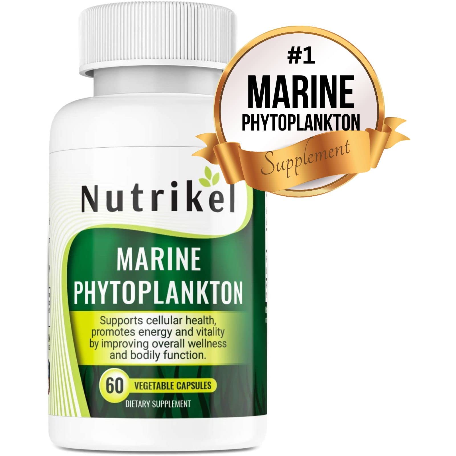 Heart and immune health icons with phytoplankton