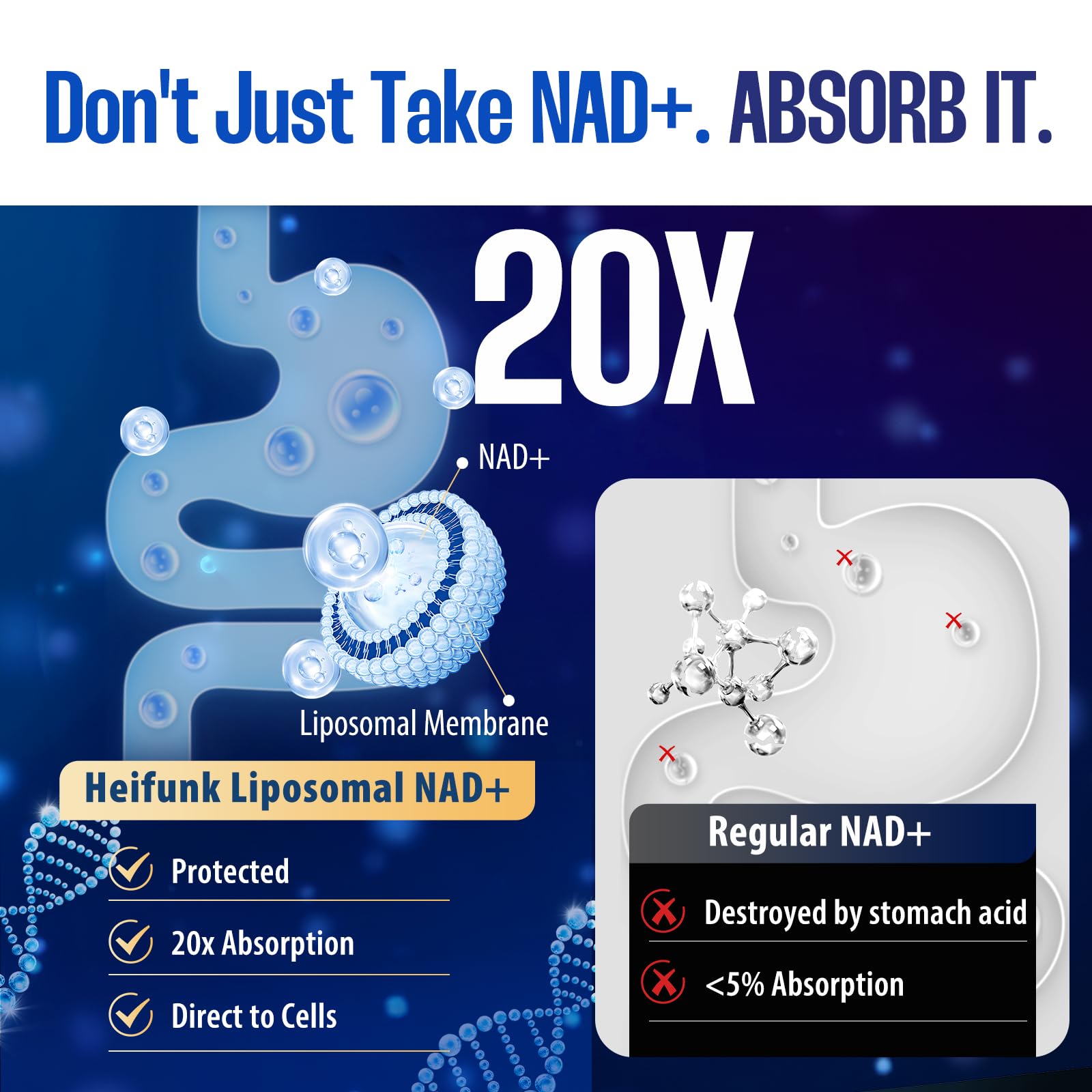Heifunk NAD+ bottle in hand for convenient daily energy boost.