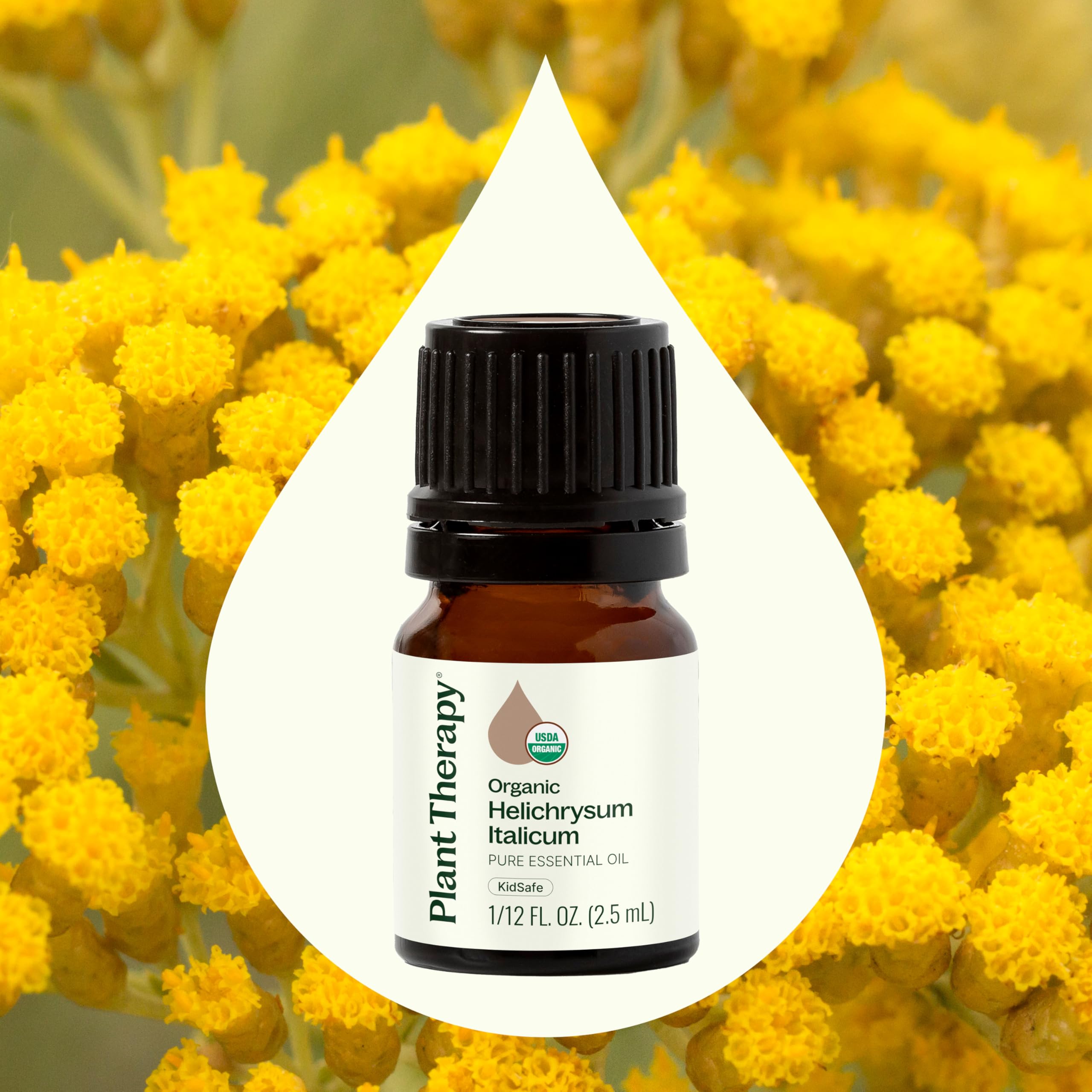 Helichrysum Italicum essential oil used with a diffuser