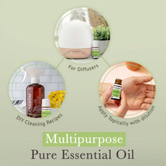 Helichrysum oil applied to skin for skincare benefits