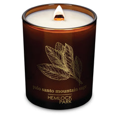 Hemlock Park Amber & Gold Wood Wick Candle in a clear glass jar, 7.2 oz