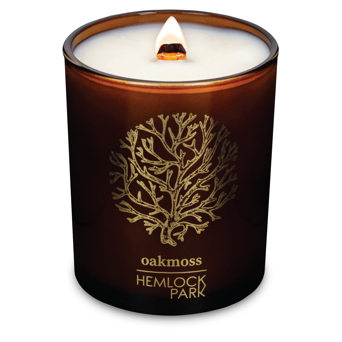 Hemlock Park Amber & Gold Wood Wick Candle 7.2 oz, Oakmoss – front view