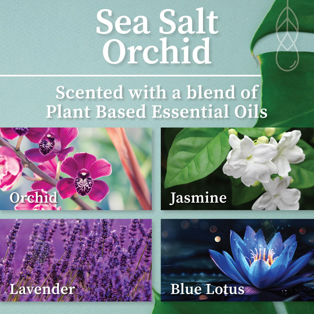 Sea Salt Orchid scent Hemlock Park candle in a minimal setting