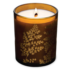 Hemlock Park Amber Gold Leaf candle in a clear glass jar with natural coconut wax