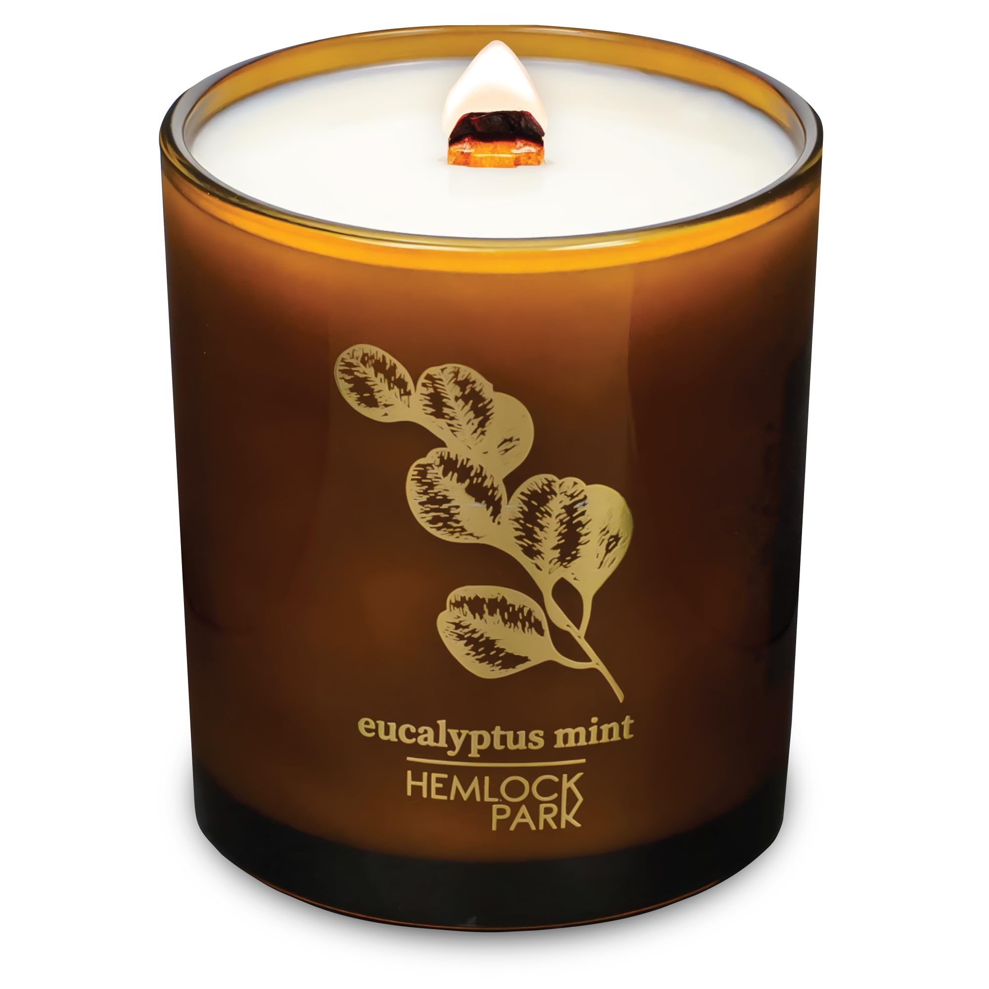 Hemlock Park Amber & Gold Wood Wick Candle, 14 oz, Eucalyptus Mint scent