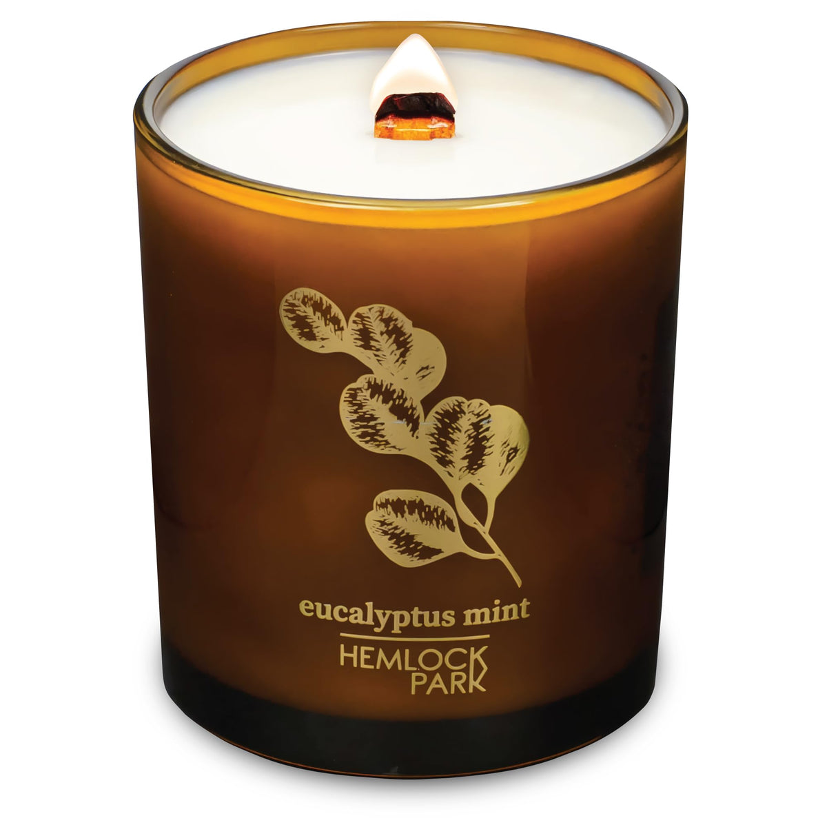 Hemlock Park Amber & Gold Wood Wick Candle, 14 oz, Eucalyptus Mint scent