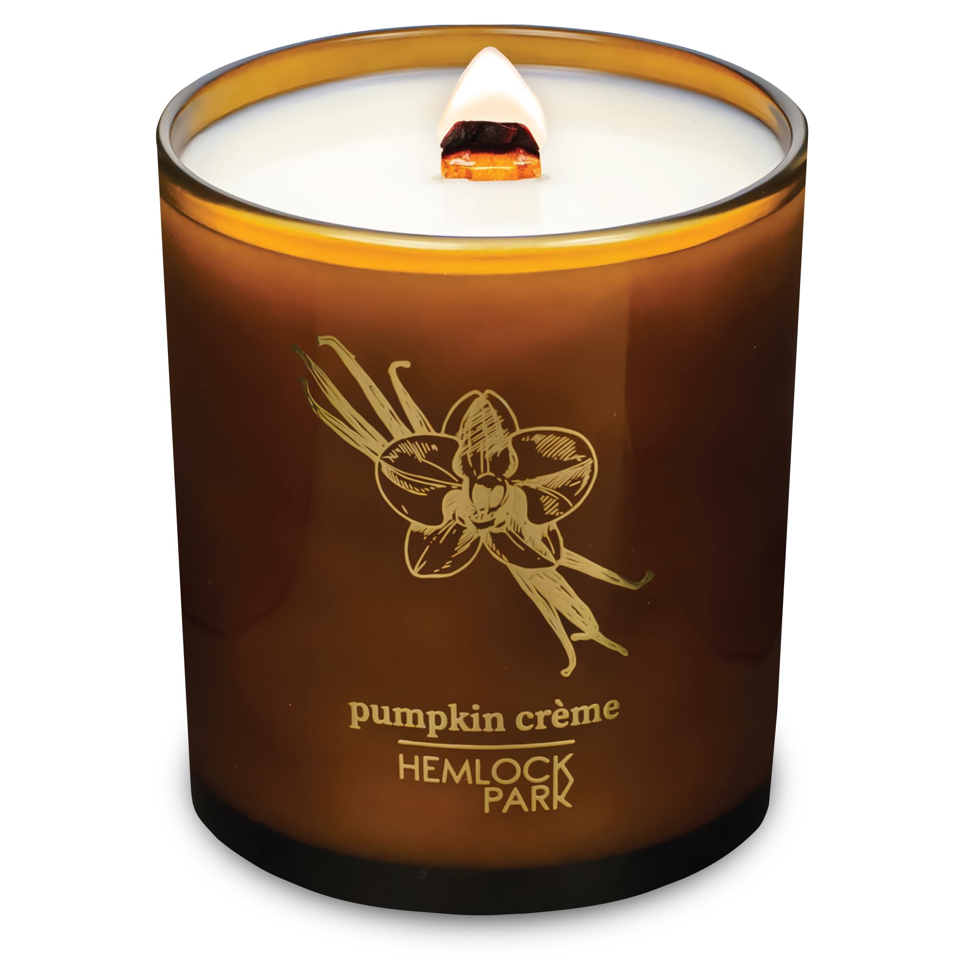 Hemlock Park Amber & Gold Wood Wick Candle in Pumpkin Crème, 14 oz, natural coconut wax, wood wick.