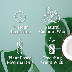 Close-up of aromatherapy notes: White Sage, Neroli, Petitgrain, Peppercorn, Cardamom, Sea Salt, Amber, Cashmere, Cedarwood, Vetiver, Frankincense