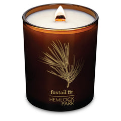 Front view of Hemlock Park Amber & Gold Wood Wick Candle in 7.2 oz tin